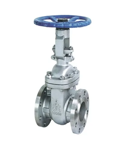 Rudra Wedge Gate Valve - Stainless Steel