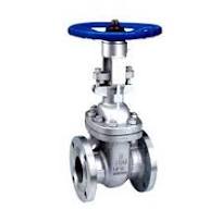 Rudra Gate Valve - 8 inch - Stainless Steel