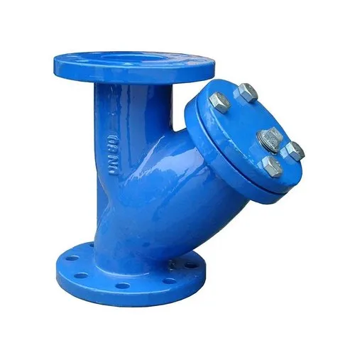 Rudra Make Y Strainer Valve