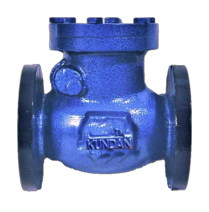 Kundan Swing Type Check Valve - Class 150