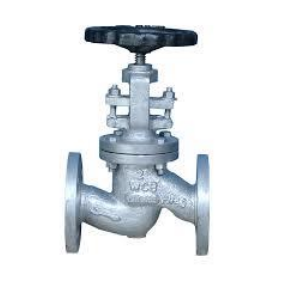 Kundan Globe Valve F/E - ND16