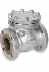 HMT Check Valve - Flange End - Thread End