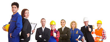 Labor Supply - The Professional Services