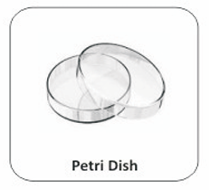 Petri Dish