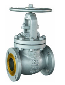 Globe Valve - MS, CI, CS, SS, PP, HDPE, PVC