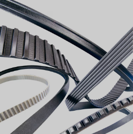 Transmission Belts