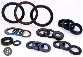 Transmission Seals