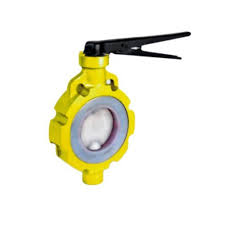 PP S.S & M.S. Teflon Lined Butterfly  Valve