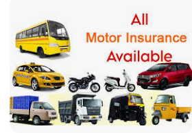 Vehicle Insurance