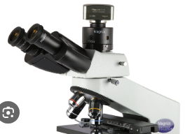 Magnus Trinocular Microscope with Camera