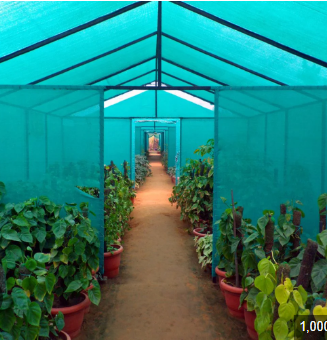 LSV Nursery Shade Net