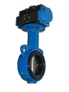 Butterfly Valve - 50MM to 600MM