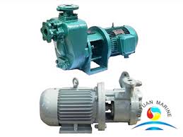 Saffron Fully Open Turbine Type Horizontal Self Priming Pumps