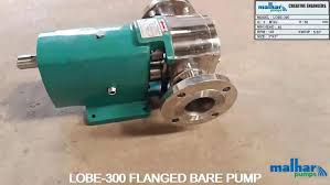 RPMS Rotary Lobe Pump - Product Image 2